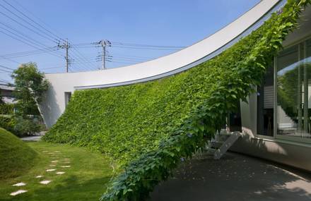 Green Screen House by Hideo Kumaki Architect Office