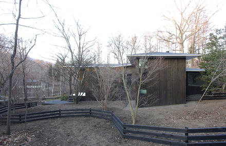 House in Karuizawa by Case Design Studio