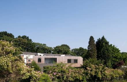 Wedge House by SOUP Architects Ltd