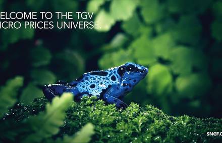 SNCF – Micro Prices TGV – Event