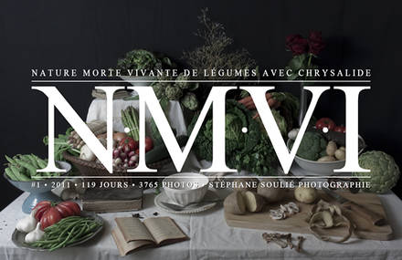 NATURE MORTE VIVANTE de LÉGUMES avec CHRYSALIDE