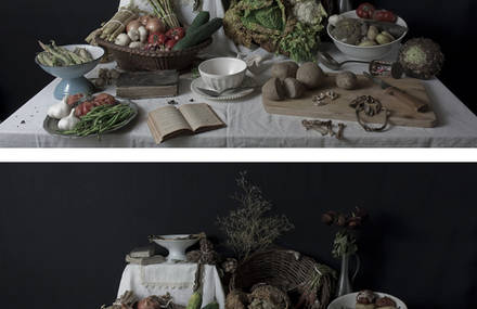 NATURE MORTE VIVANTE de LÉGUMES avec CHRYSALIDE