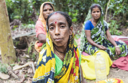 THE TEA PRODUCTION IN BANGLADESH