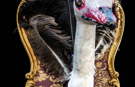 Le Bestiaire de Vivienne