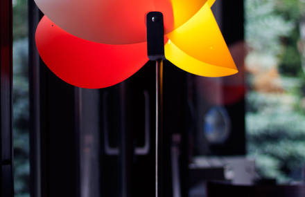 Egg – multi shape/color lamp