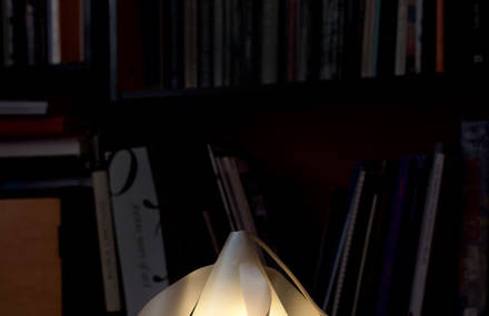TRI – multiposition lamp