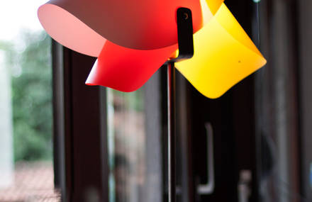 Egg – multi shape/color lamp