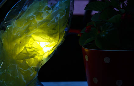 PET light – Organic lamps made out of plastic bottles