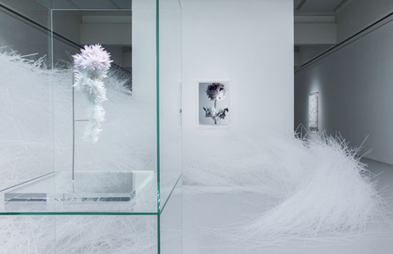 Crystallize Exhibition