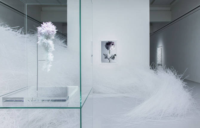 Crystallize Exhibition