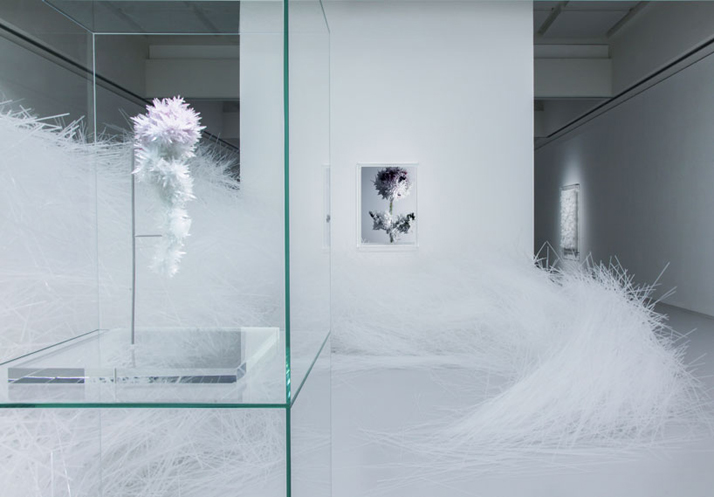 Crystallize Exhibition-16