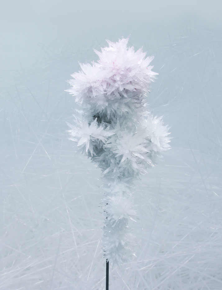 Crystallize Exhibition-9