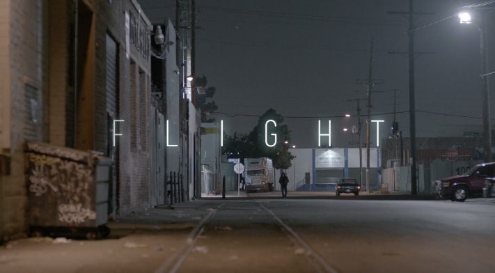 Flight Video6