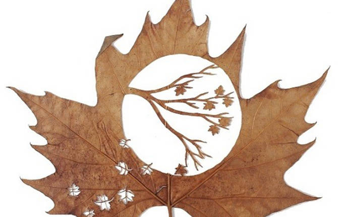 Leaf Art by Lorenzo Duran