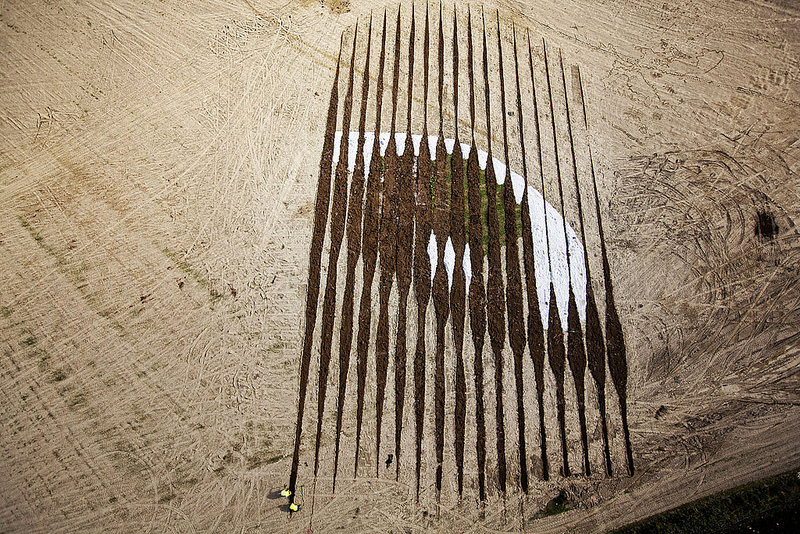 Monumental 11-Acre Portrait in Belfast3