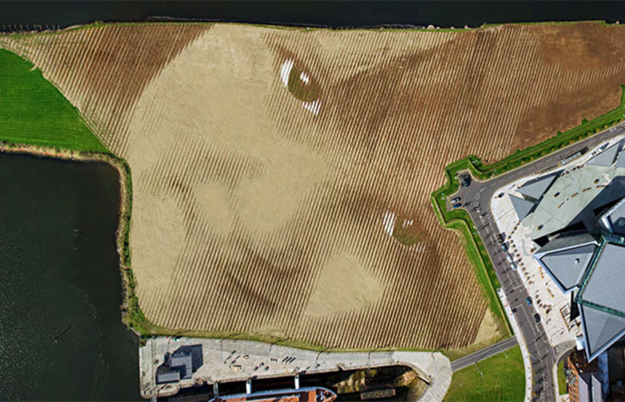 Monumental 11-Acre Portrait in Belfast