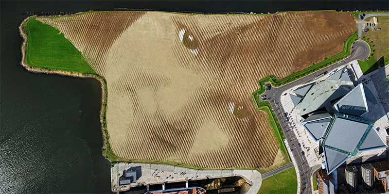 Monumental 11-Acre Portrait in Belfast6