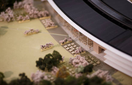 New Apple Campus in Cupertino