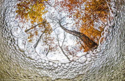 Wildlife Photographer of the Year 2013