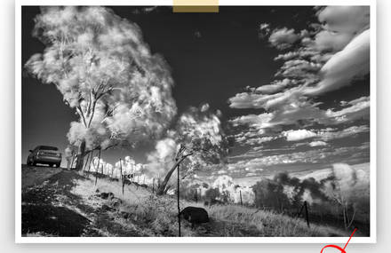 Infra Red Photography