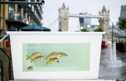 London Designers Create Unique Hyundai Car-Powered Aquaponics Urban Farm That Grows Vegetables
