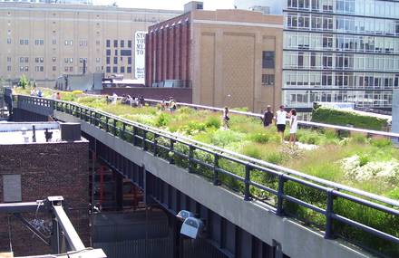 Garden Of Art – The High Line in NYC