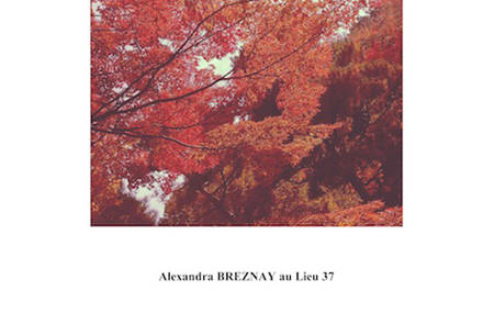 Exposition Paris – New York – Japon: I-N-S-T-A-N-T-S Alexandra BREZNAY