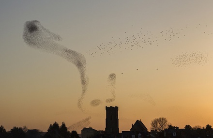 Landscape Photographer of the Year 2013