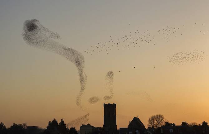 Landscape Photographer of the Year 2013