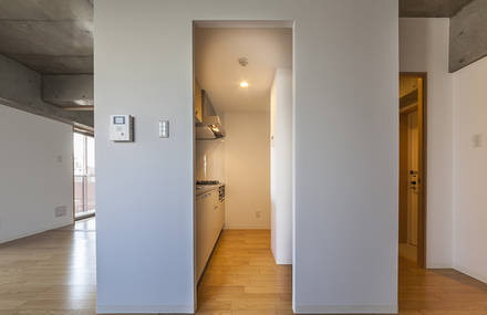 Yushima Apartment by Nakae Architects
