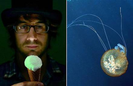 Ice Cream with Jellyfish