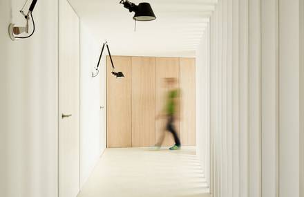Porchs and patios articulate a sensorial house created by Jaime Prous