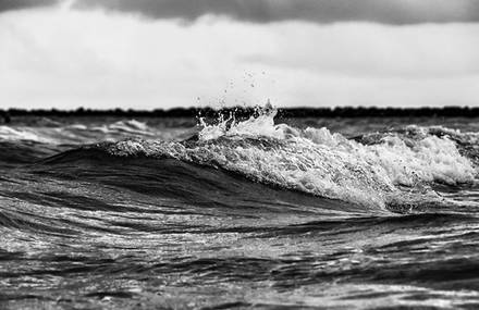 Dark Water