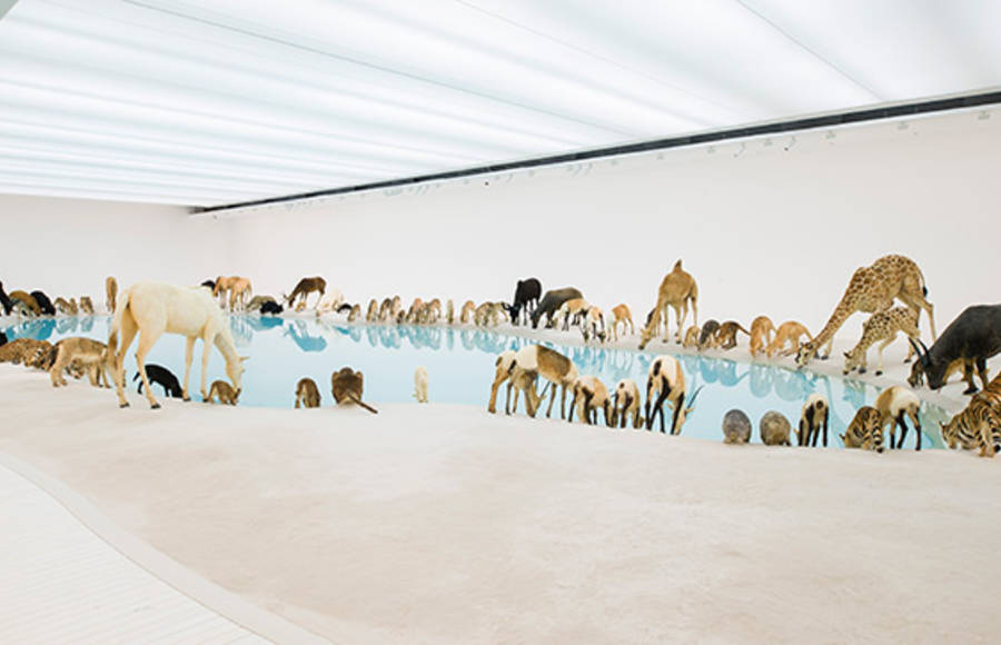 99 Lifelike Animals Installation