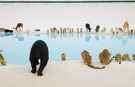 99 Lifelike Animals Installation