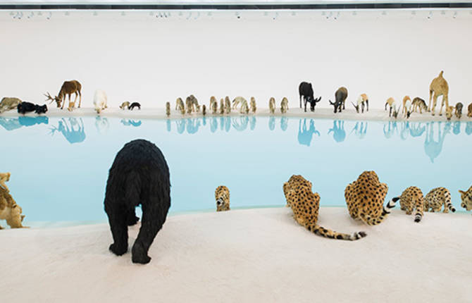 99 Lifelike Animals Installation