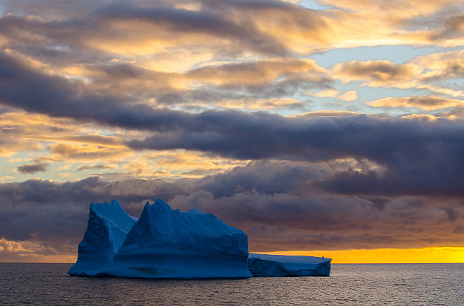 Antarctic Wildlife by Justin Hofman -8