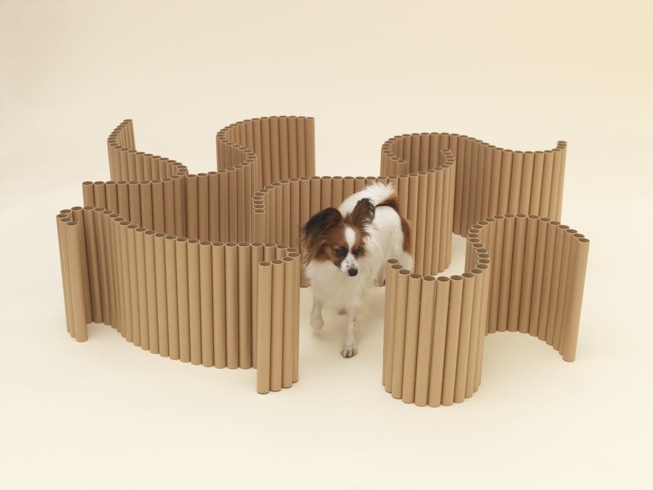 Architecture for Dogs-7