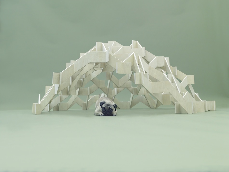 Architecture for Dogs-8