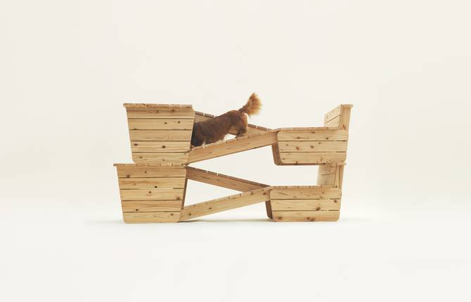 Architecture for Dogs