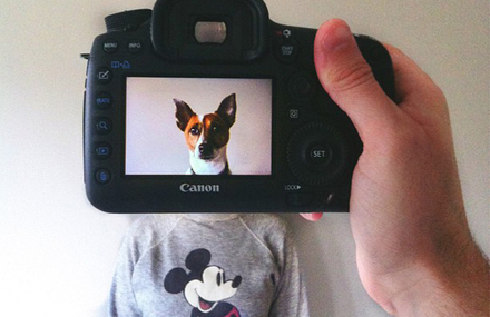 Creative Pet Portraits