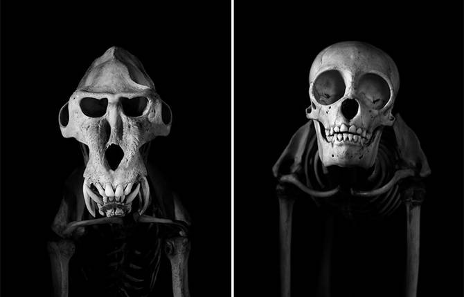 Exploration of Skeletons by Patrick Gries
