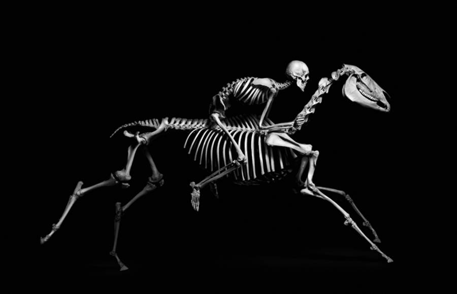 Exploration of Skeletons by Patrick Gries