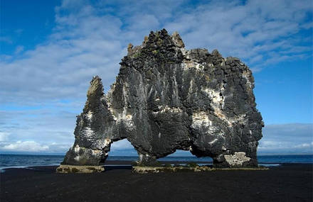 Icelandic Dinosaur