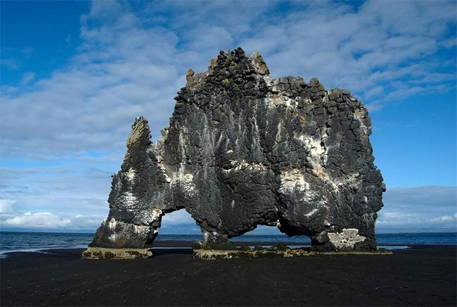 Icelandic Dinosaur-2