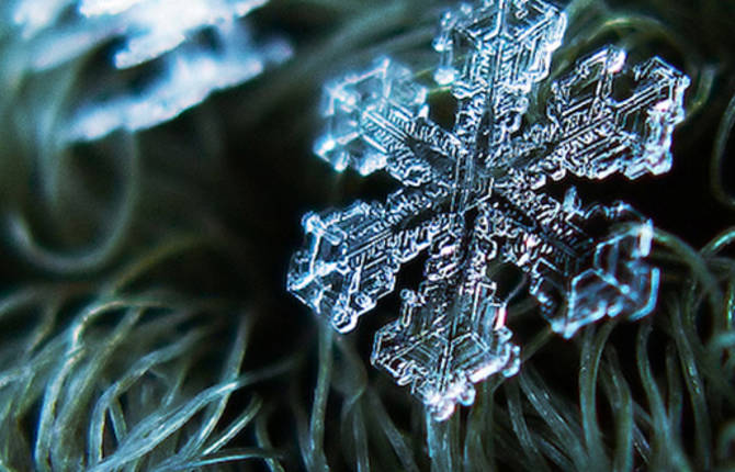 Macro Snowflake