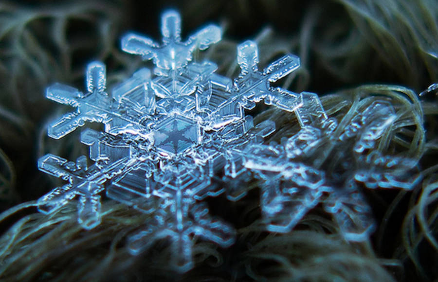 Macro Snowflake