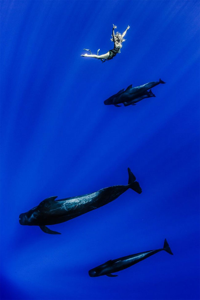 Models Underwater shoot with Whales