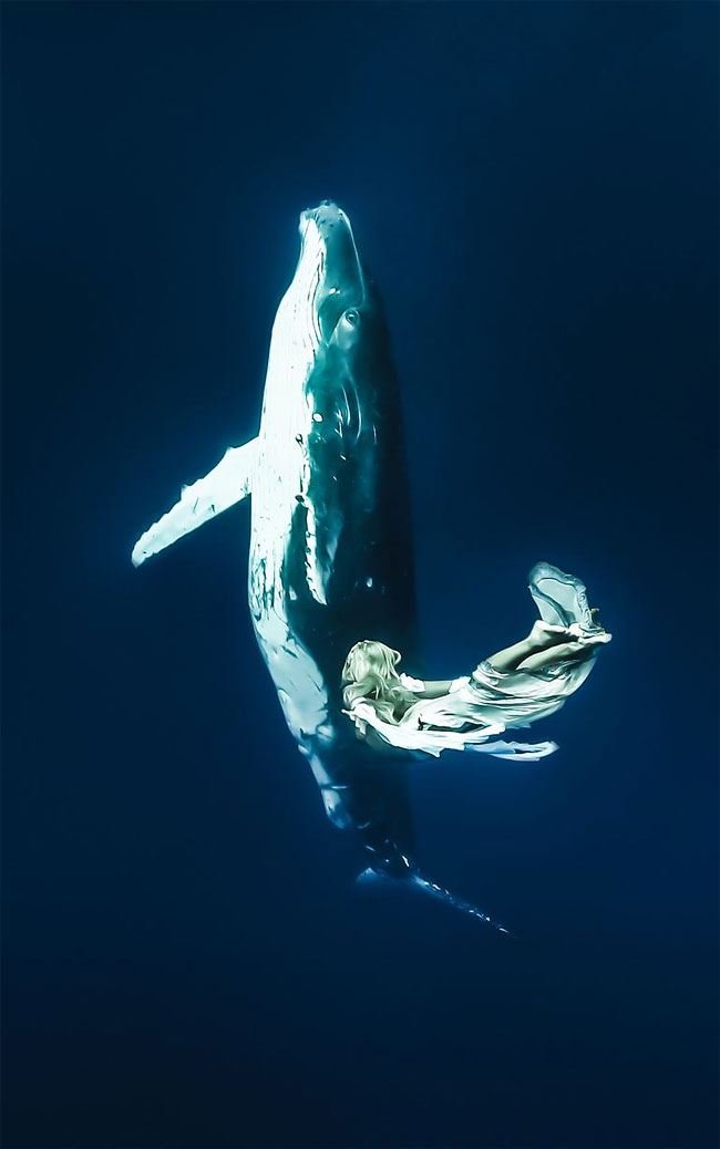Models Underwater shoot with Whales5