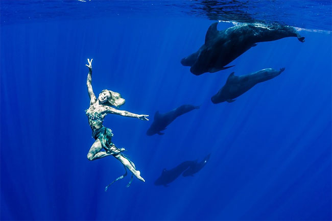 Models Underwater shoot with Whales6